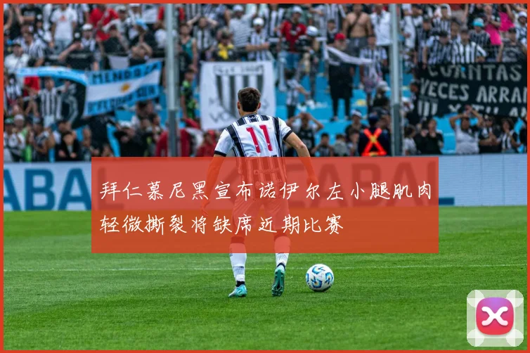 拜仁慕尼黑宣布诺伊尔左小腿肌肉轻微撕裂将缺席近期比赛