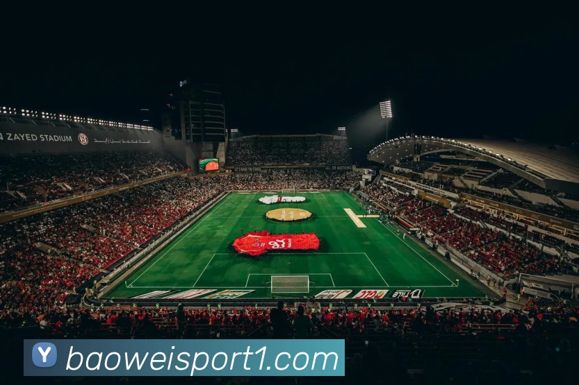 宝威体育APP 封面图